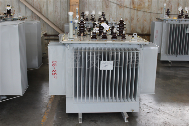 甘肃S20-800kVA/10kV/0.4kV变压器